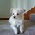 Margarita Knowlton's profile image