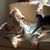 Cindy Sealy's profile image