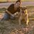 Lucy Flores Zambrano's profile image