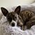 Madaline Clark-Rockey's profile image