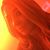 Sue Rowe's profile image
