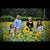 Scottie Braswell's profile image