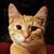 Missy Jo's profile image