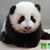 Jui Chang's profile image