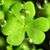 Donna Hughes Threlkeld's profile image