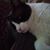 Brenda McDonagh's profile image
