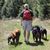 Bob Shea's profile image