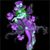 Duana Janis's profile image