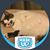 Donna Lafferty's profile image