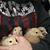 Cathy Yakel Corso's profile image