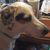 Kathy Tom Gee's profile image