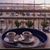 Betty Ann Villasenor's profile image