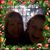Erin Reardon's profile image