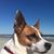 Donna Murphy Henry's profile image