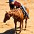 Alisa Bucy's profile image