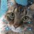 Danyal Vierheller's profile image