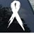 Matt Honnold's profile image