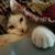Patti Drago's profile image