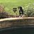 Beverley Bratcher's profile image