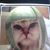 Anthony James's profile image
