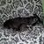 Deb Schneider's profile image