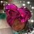Stephanie Mcquithy's profile image