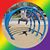 Robin Lauas's profile image