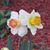 Kelly Harner's profile image