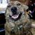Nina Galluzzo's profile image