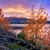 Tracy Auger Wheatley's profile image