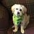 Jeanell Sheffield's profile image