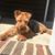 Dennis Herndon's profile image