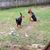 David L Sheeley's profile image