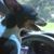 Janice Smith's profile image