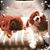 Susan Johnson-Deneen's profile image