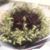 Ngoc Nga Le's profile image