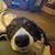 Steve Hladio's profile image