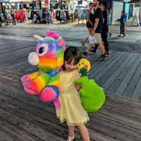 Paula M Damico's profile image