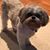 Sharon Ardoin Martinez's profile image