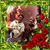 MaryAnn OSullivan's profile image