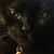 Lisa Harvey's profile image