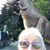 Nancy Chew's profile image