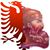 Manuela Sokoli's profile image