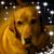 Brenda Johnson Roper's profile image