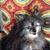 Judy Griffin's profile image