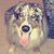 Joy Haley's profile image
