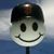 Liz Thomas Hensley's profile image