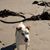 Andre Skein's profile image