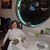 Georgianna Parisi's profile image
