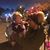 Tammy Dorst's profile image